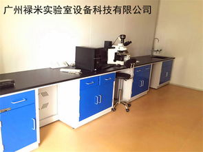 全钢边台耐酸碱耐腐蚀制药厂石油化工实验室设备室家具定制